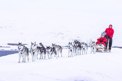 Hundeschlittentour in der Nähe von Akureyri