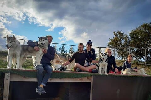 Husky-Streicheln in Akureyri (privat)