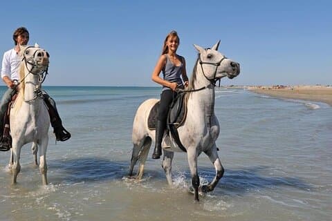 Privat transport til eventyrsafari med hest i Sharm El Sheikh