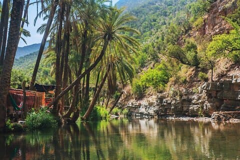 Agadir eller Taghazout: Paradise Valley Atlas Mountain Simning Trip