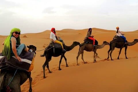 Shared group Fez to Fez Sahara tour 2Days/1Night