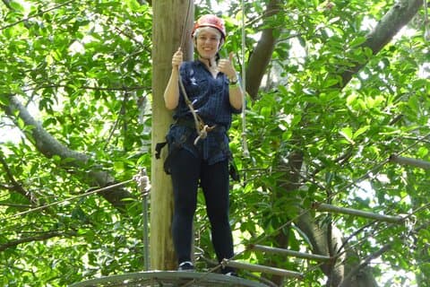 Zip Lining och Canopy Tree Tour i Rio de Janeiro