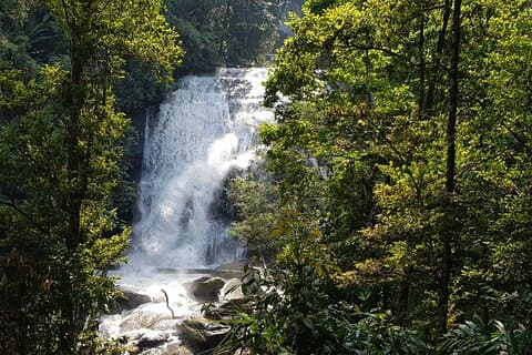 Wow! Parque Nacional Doi Inthanon Aventura, almuerzo y entrada incluidos