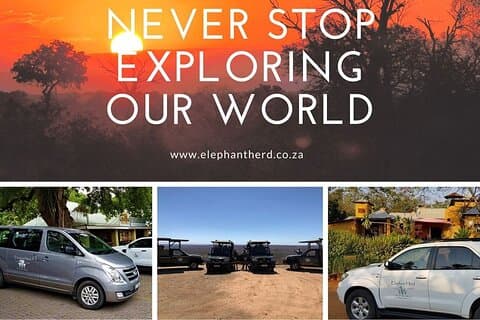Traslado privado de llegada: Aeropuerto de Johannesburgo a Mpumalanga