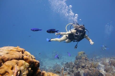 2 Stopps Tauchen für Anfänger Ganztägige Bootsfahrt, Transfer, Mittagessen – Hurghada