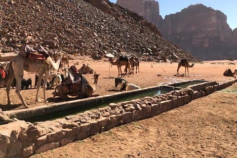4 Hour Jeep Tour (morning or sunset) - Wadi Rum Desert Highlights