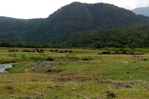 3 Tage Mount Meru Trek