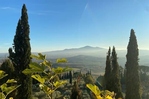 Heldags Val d'Orcia-tur med vin- og ostesmagninger