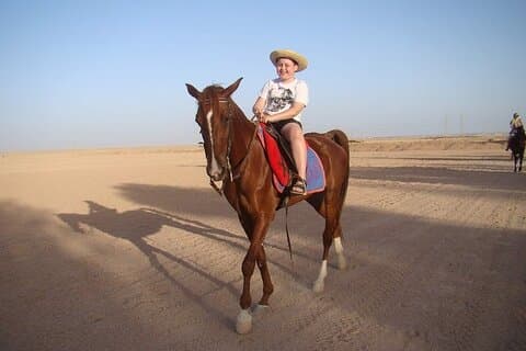 En times hest eller kamelridning med transfer-Sharm El-Sheikh