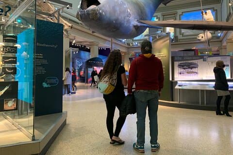 Smithsonian Museum of Natural History Begeleide Tour