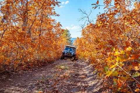 Excursion en jeep à l'est de Zion Brushy Cove