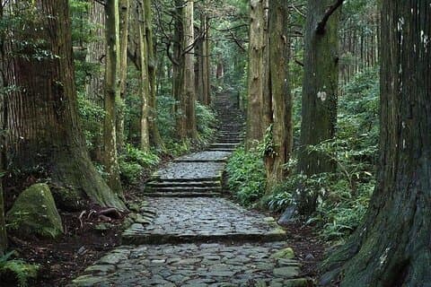 Visite à pied de 2 jours de Kumanokodo au départ d'Osaka