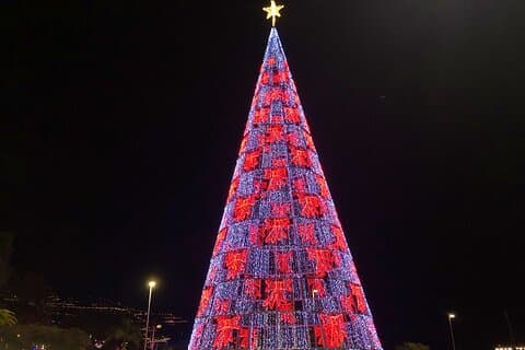 Private Funchal Christmas Light Tour