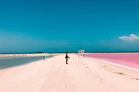Lago Rosa Las Coloradas + Rio Lagartos Reserve! De Cancún