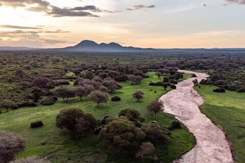 3 Tage Abenteuer im Selous Game Reserve (Einflug)