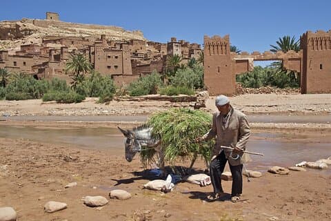 6 - Journée Maroc : Casablanca, Fès, Marrakech & Désert du Sahara