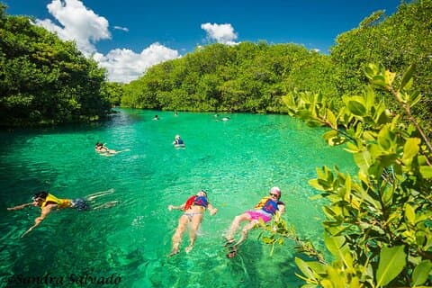 Tulum Area Experiences Geführte Rollertour Schnorcheln / Schwimmen Casa Cenote & Mittagessen