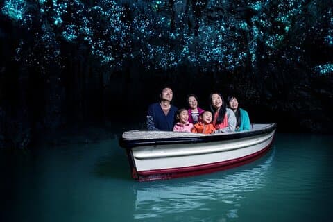Rotorua til Auckland ettermiddagsoverføring med Waitomo Glow Worms