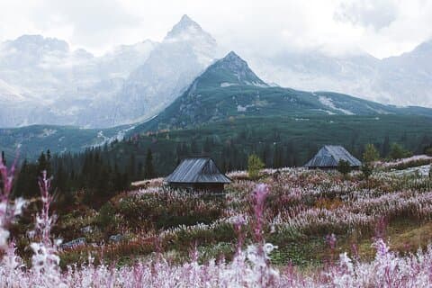 Zakopane Tatra-fjellet og termalbadene fra Krakow