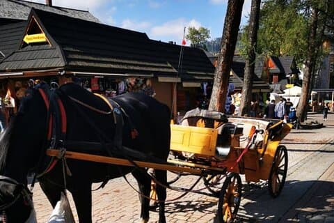 Passeio regular de Zakopane Funicular Hill & Thermal Springs