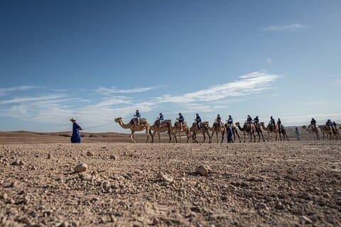 Desde Marrakech: experiencia en camello por el desierto de Agafay