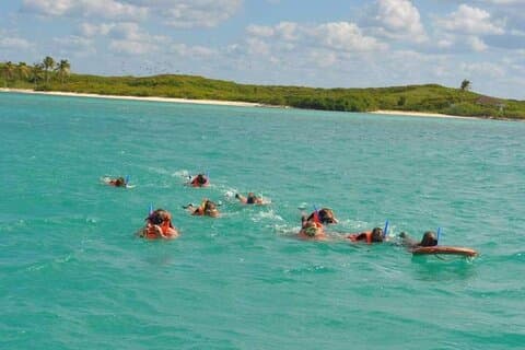 Isla Contoy & Shopping tour en Isla Mujeres desde Cancún
