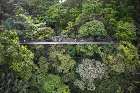 2-in-1: Hanging Bridges, Waterfall, Volcano Hike, or Hot Springs