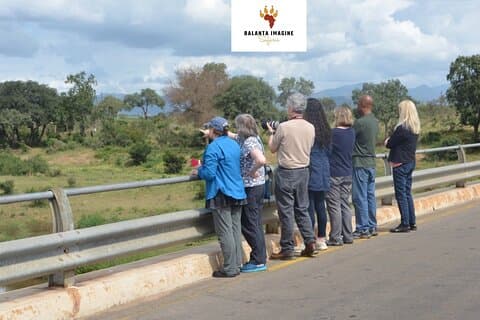 Esilarante avventura Kruger Safari di 7 giorni - da sud a nord