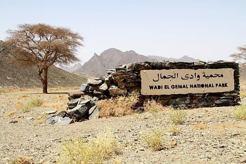 Safari Day Tour To Wadi El Gamal National Park From Marsa Alam