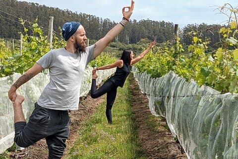 Yoga in Weinbergen und Brunch