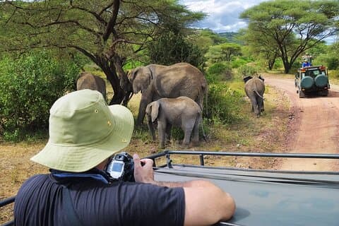 セレンゲティとンゴロンゴロがサファリで飛ぶ