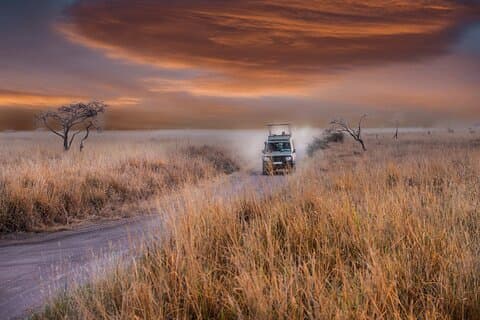 Safari économique de 6 jours en Tanzanie