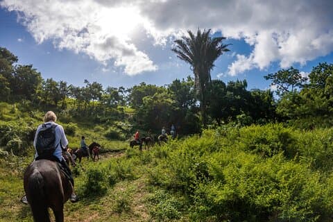 Randonnée à cheval, lettres de Roatan et océan à Flowers Bay
