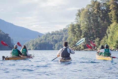 Tour Guiado de Medio Día en Kayak con Picnic en Villa la Angostura