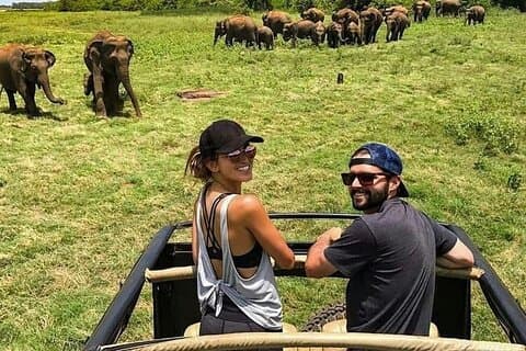 Recorrido redondo popular de La Ceylon en Sri Lanka (8 días)