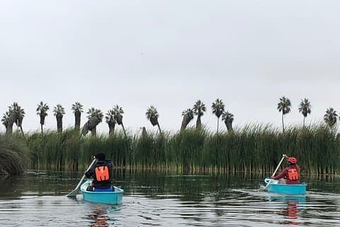 Bike Tour to Pantanos de Villa with Boat Ride & Birdwatching