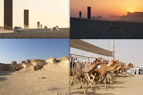 Visita a la costa oeste y al hipódromo de camellos