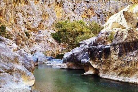 Kreta: Flodvandring på Preveli Beach