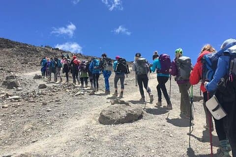 Subida privada de 8 dias ao Kilimanjaro pela rota Lemosho