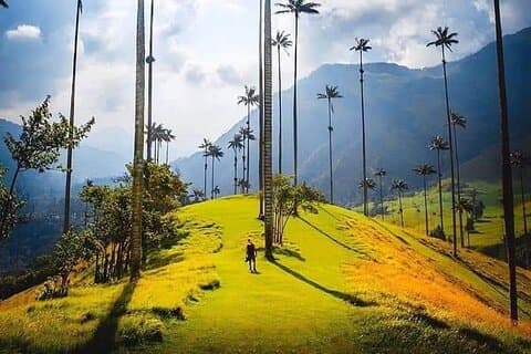 Cocora-Tal, Salento und Kaffeefarm-Tagestour