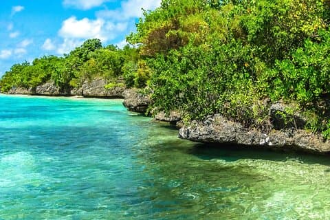 The Exotic East: Ile aux Aigrettes & Blue Bay marine park & Lunch