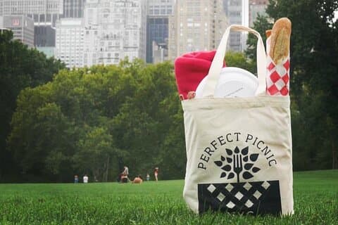 Picnic in famiglia per 4 persone (Prendi e vai)