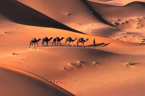 Circuit de 9 jours de Fès à Marrakech