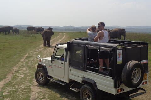 Kaudulla National Park - Privat Safari fra Sigiriya