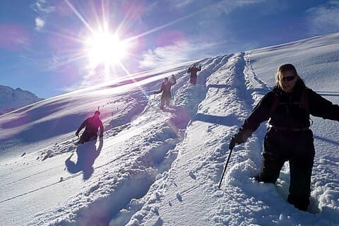 Scenic Snowshoe Adventure in South Lake Tahoe, CA