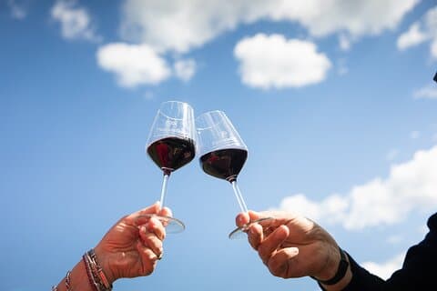 Uma explosão de sabores, um tour por vinícolas e vinhos orgânicos em Panzano in Chianti.