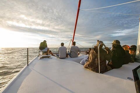 Cruzeiro de catamarã com champanhe ao pôr do sol na Cidade do Cabo