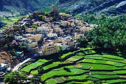 Hele dag Wadi Bani Awf-Bilad Sayt privétour