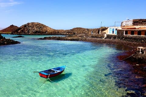Delfinsafari til Lobos Island