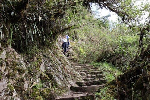 Short Inca Trail To Machu Picchu 2 Days and 1 Night